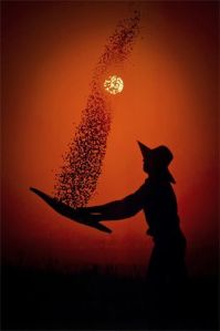 img_4aab839fb5d65306c5d0d49076b1434d