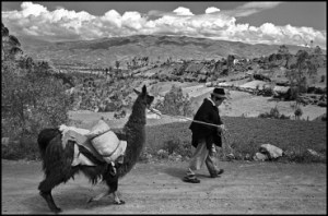 joan-guerrero_20150417_big